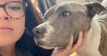 alicia pet sitter à Diemeringen 67430