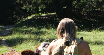 pauline pet sitter à FAVERGES SEYTHENEX 74210_1
