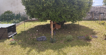 marine pet sitter à GOES 64400_0