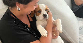 flor pet sitter à TOULOUSE 31500_2