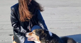 tiffany pet sitter à LOCQUIREC 29241_0