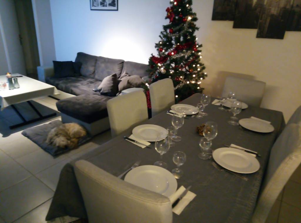 emma  pet sitter à Bordeaux 33440_9