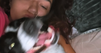 jade pet sitter à CAEN 14000_0