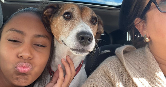 maudesty pet sitter à PONTAULT COMBAULT 77340_3