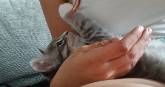 laura pet sitter à TOULOUSE 31000_8