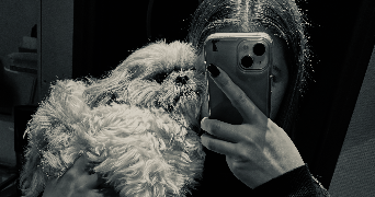 garance pet sitter à RENNES 35700