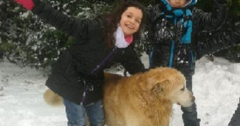 sarah pet sitter à TOULOUSE 31400_5