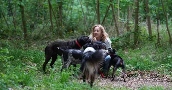 stéphanie pet sitter à DRAVEIL 91210