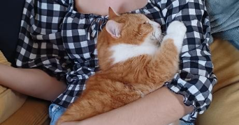 océane pet sitter à DOMPREMY 51300_1