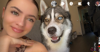 olivia pet sitter à DAMMARTIN EN GOELE 77230_0