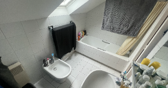 alexandre pet sitter à VILLEJUIF 94800_3