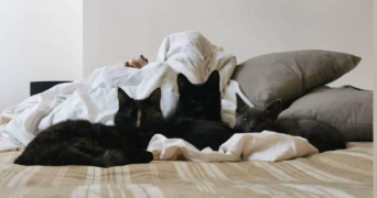 justine pet sitter à LILLE 59000_2