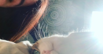 lucye pet sitter à Sauvian 34410_0