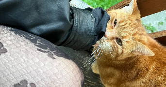 luna pet sitter à PONTARLIER 25300_5