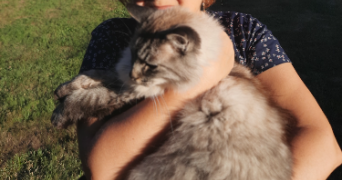 nathan pet sitter à LYON 06 69006_2