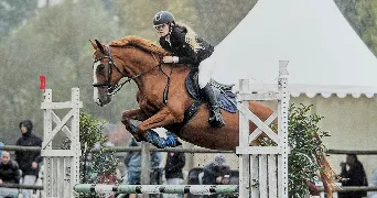 melissa pet sitter à Clerac 17270