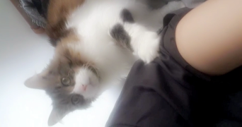 lisa pet sitter à MARSEILLE 01 13001_6