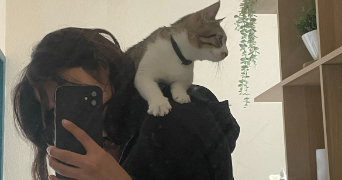 yasmine pet sitter à BORDEAUX 33000_1