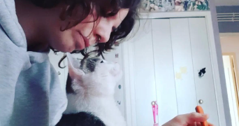 mélina pet sitter à PAMPELONNE 81190_1