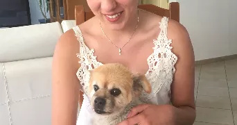 gladys pet sitter à LYON 06 69006