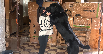 melyne pet sitter à BOURGES 18000_1