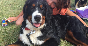 pauline pet sitter à BENODET 29950_3