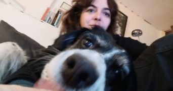 sophie dog sitter à MONTPELLIER 34000_1