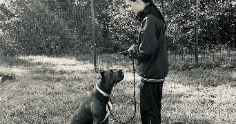 salomé pet sitter à SEVRIER 74320_6