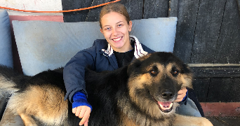 clara pet sitter à KINGERSHEIM 68260_1