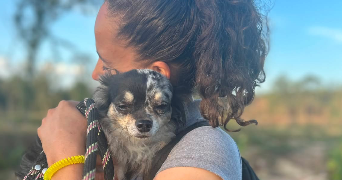 tracy pet sitter à ST AUGUSTIN DES BOIS 49170_5