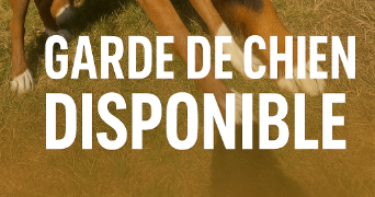 virginie pet sitter à ENNETIERES EN WEPPES 59320_3