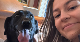 quitterie pet sitter à PARIS 17 75017_1