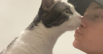 candy pet sitter à HOPITAL CAMFROUT 29460_1