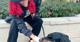 elina pet sitter à Toulouse  31500_1