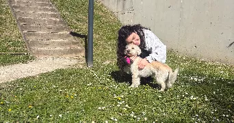 dehia  pet sitter à LILLE 59000