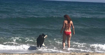 camille pet sitter à Saint urcisse 81630_8