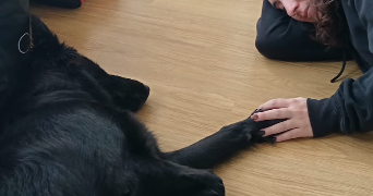 florianna pet sitter à Alfortville 94140_8