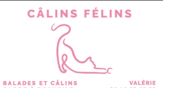 valérie pet sitter à BISCARROSSE 40600_2