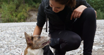 laurine pet sitter à RUMILLY 74150_1
