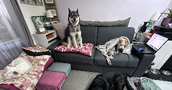 caroline pet sitter à St Cyr Sur Mer 83270_8