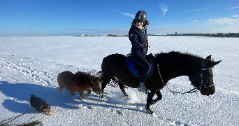 anna pet sitter à ARRAS 62000_6