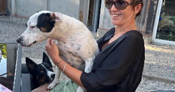 astride pet sitter à LUSSAT 63360_3