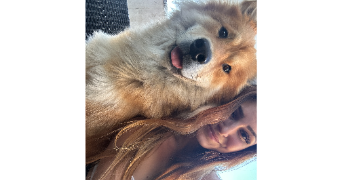 marion pet sitter à SENNECEY LES DIJON 21800_2