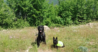 caroline pet sitter à Castagnier 06670_9