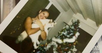 boudillon pet sitter à PETIT BOURG 97170_0