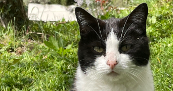 corinne pet sitter à FAREMOUTIERS 77515_1