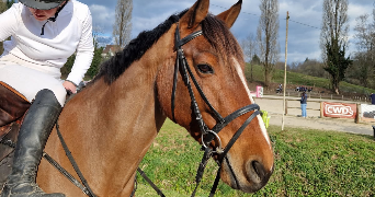 Kelly pet sitter à LIMOGES 87100_7