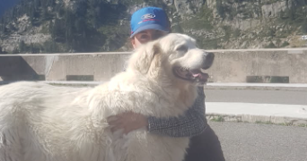 pauline pet sitter à BASSILLAC ET AUBEROCHE 24640_1