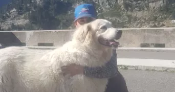 pauline pet sitter à BASSILLAC ET AUBEROCHE 24640