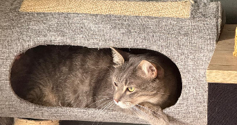 aurore pet sitter à MARSEILLE 09 13009_2